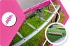 THUNDER INSIDE ULTRA 8FT (244 cm) PINK Trampolin