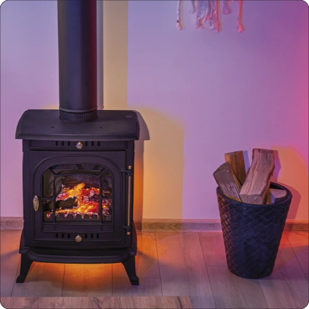 Gusseisen-Holzofen AGNI 7 kW 